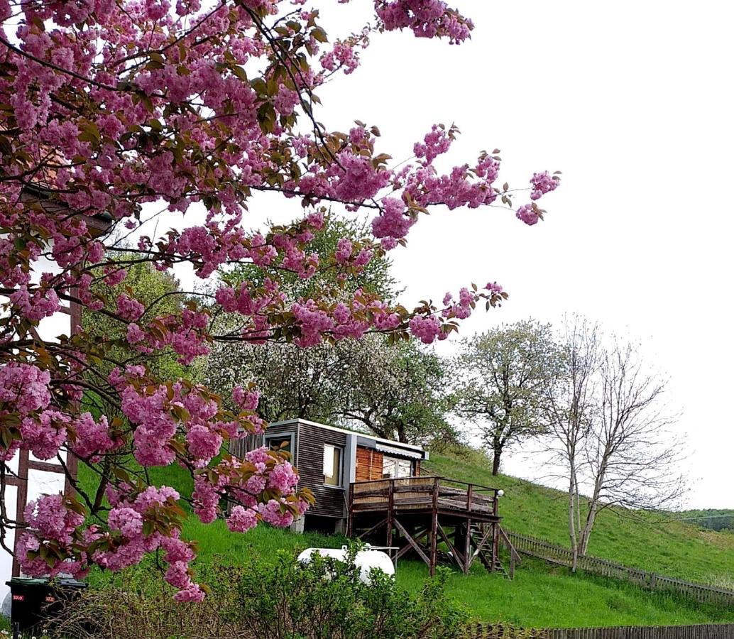 Tiny House Mit Klima Und Heizung, In Idyllischer Ortsrandlage Iba Exteriér fotografie